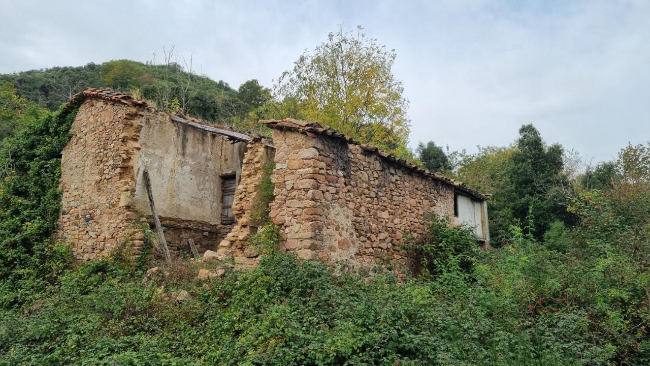 Villa Ca La Pauleta à Sant Hilari Sacalm Extérieur photo